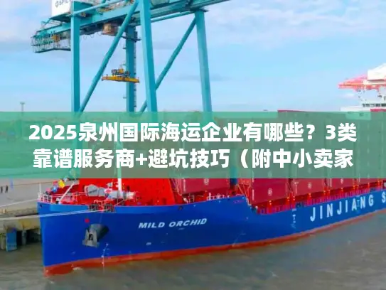 2025泉州国际海运企业有哪些？3类靠谱服务商+避坑技巧（附中小卖家真实案例）
