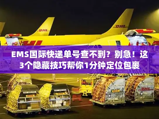 EMS国际快递单号查不到？别急！这3个隐藏技巧帮你1分钟定位包裹
