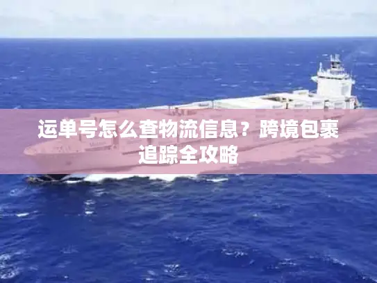 运单号怎么查物流信息？跨境包裹追踪全攻略