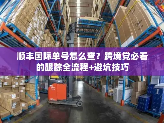 顺丰国际单号怎么查？跨境党必看的跟踪全流程+避坑技巧