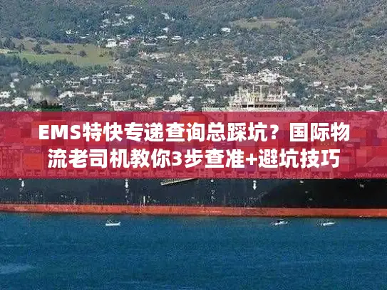 EMS特快专递查询总踩坑？国际物流老司机教你3步查准+避坑技巧