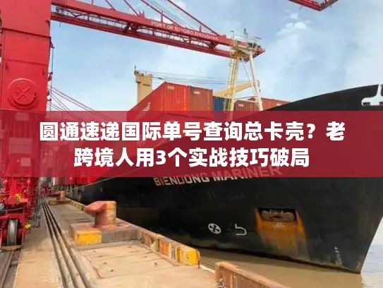 圆通速递国际单号查询总卡壳？老跨境人用3个实战技巧破局