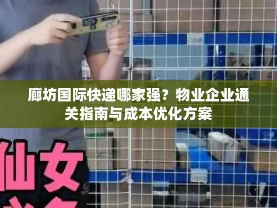 廊坊国际快递哪家强？物业企业通关指南与成本优化方案