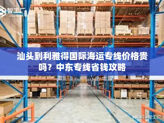 汕头到利雅得国际海运专线价格贵吗？中东专线省钱攻略