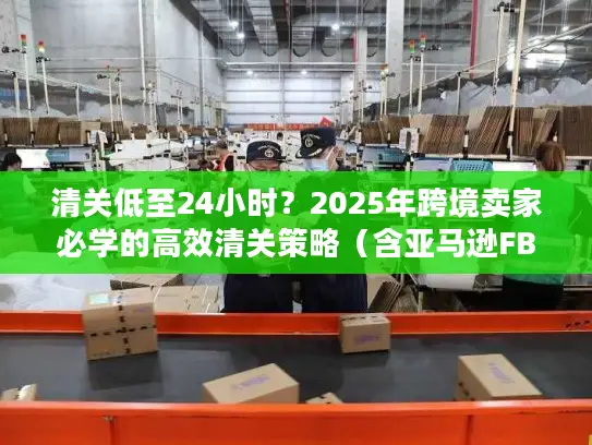 清关低至24小时？2025年跨境卖家必学的高效清关策略（含亚马逊FBA案例）