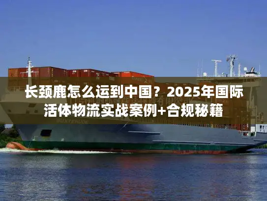 长颈鹿怎么运到中国？2025年国际活体物流实战案例+合规秘籍