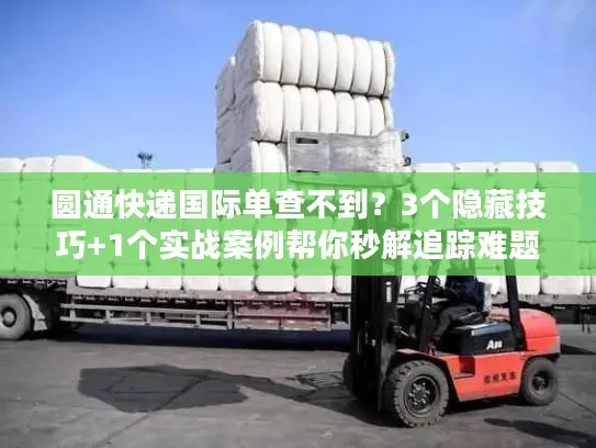 圆通快递国际单查不到？3个隐藏技巧+1个实战案例帮你秒解追踪难题