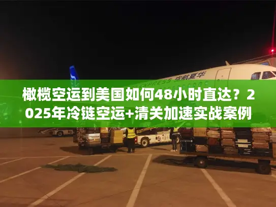 橄榄空运到美国如何48小时直达？2025年冷链空运+清关加速实战案例拆解