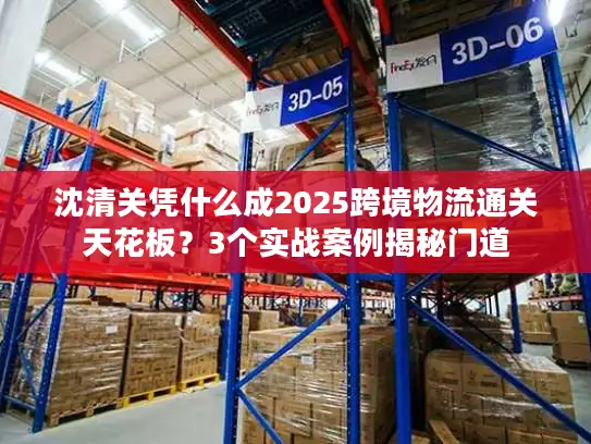 沈清关凭什么成2025跨境物流通关天花板？3个实战案例揭秘门道