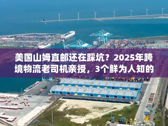 美国山姆直邮还在踩坑？2025年跨境物流老司机亲授，3个鲜为人知的高效方案