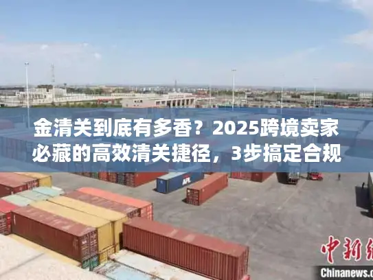金清关到底有多香？2025跨境卖家必藏的高效清关捷径，3步搞定合规+降本
