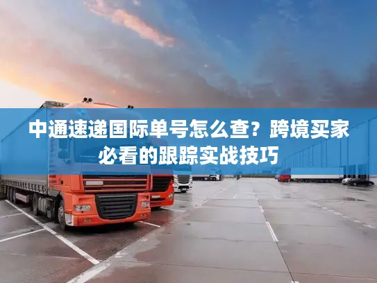 中通速递国际单号怎么查？跨境买家必看的跟踪实战技巧