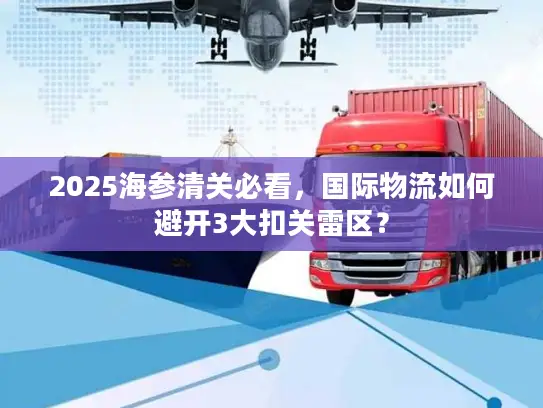 2025海参清关必看，国际物流如何避开3大扣关雷区？