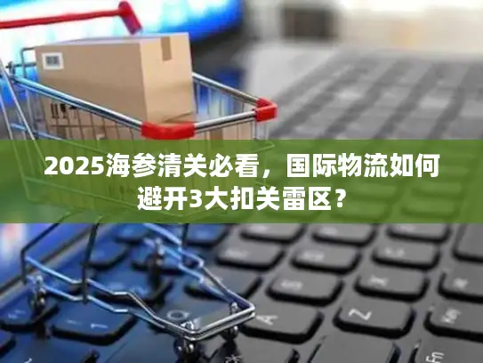 2025海参清关必看，国际物流如何避开3大扣关雷区？