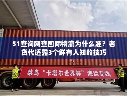 51查询网查国际物流为什么准？老货代透露3个鲜有人知的技巧