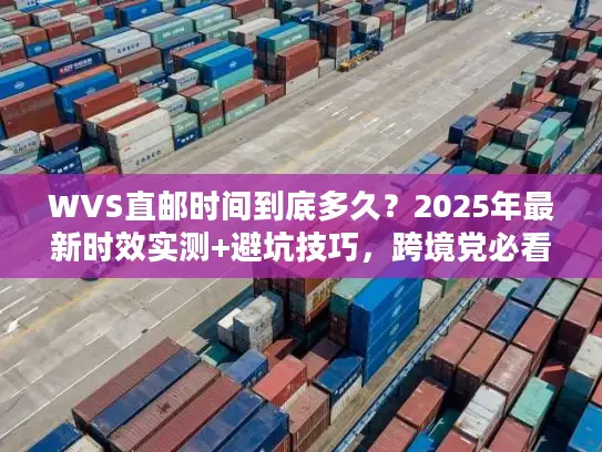 WVS直邮时间到底多久？2025年最新时效实测+避坑技巧，跨境党必看