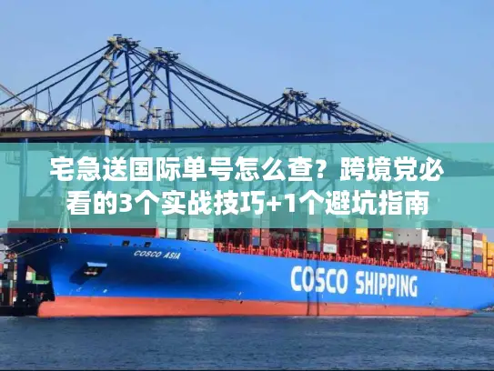 宅急送国际单号怎么查？跨境党必看的3个实战技巧+1个避坑指南