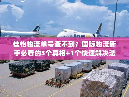 佳怡物流单号查不到？国际物流新手必看的3个真相+1个快速解决法