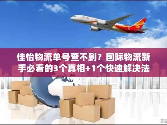 佳怡物流单号查不到？国际物流新手必看的3个真相+1个快速解决法