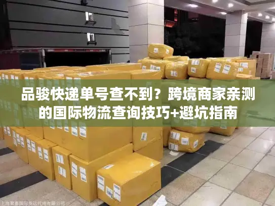 品骏快递单号查不到？跨境商家亲测的国际物流查询技巧+避坑指南