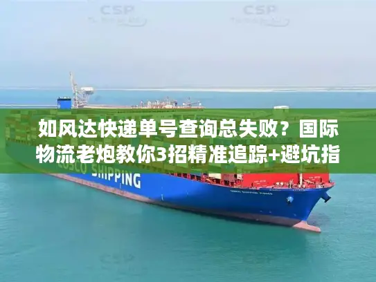 如风达快递单号查询总失败？国际物流老炮教你3招精准追踪+避坑指南