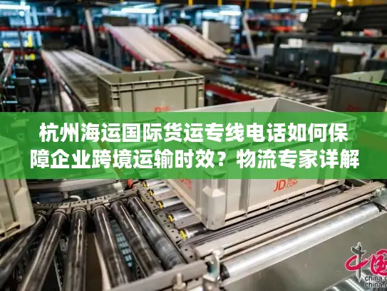 杭州海运国际货运专线电话如何保障企业跨境运输时效？物流专家详解门到门方案