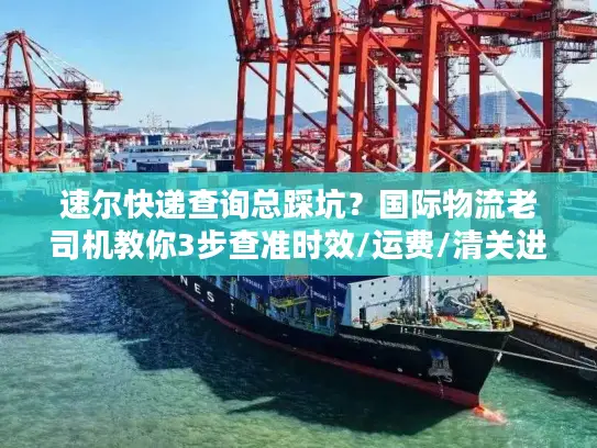 速尔快递查询总踩坑？国际物流老司机教你3步查准时效/运费/清关进度