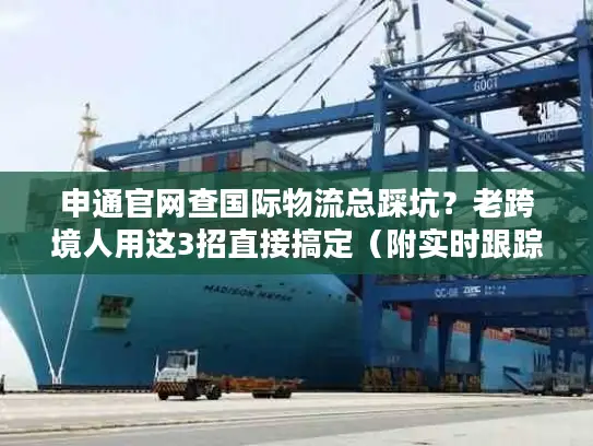 申通官网查国际物流总踩坑？老跨境人用这3招直接搞定（附实时跟踪技巧）