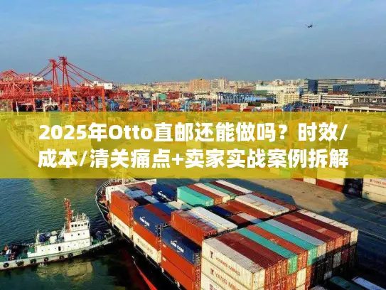 2025年Otto直邮还能做吗？时效/成本/清关痛点+卖家实战案例拆解