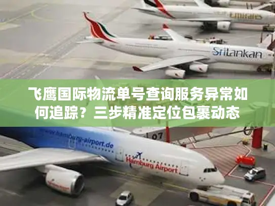 飞鹰国际物流单号查询服务异常如何追踪？三步精准定位包裹动态