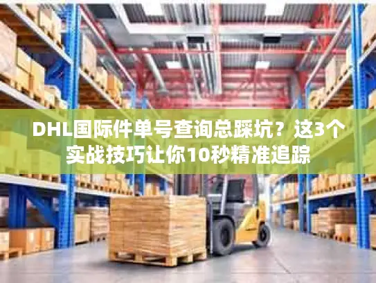 DHL国际件单号查询总踩坑？这3个实战技巧让你10秒精准追踪
