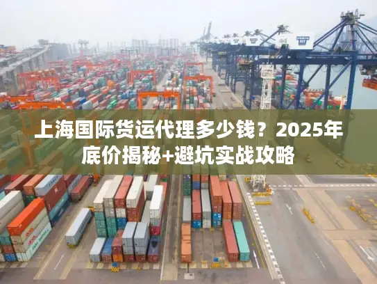 上海国际货运代理多少钱？2025年底价揭秘+避坑实战攻略