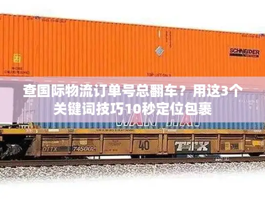 查国际物流订单号总翻车？用这3个关键词技巧10秒定位包裹