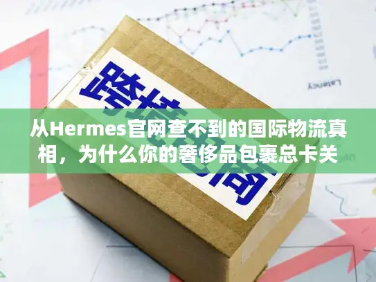 从Hermes官网查不到的国际物流真相，为什么你的奢侈品包裹总卡关？