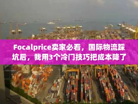 Focalprice卖家必看，国际物流踩坑后，我用3个冷门技巧把成本降了28%