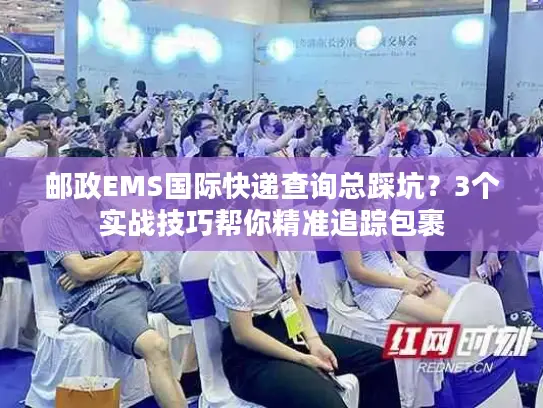 邮政EMS国际快递查询总踩坑？3个实战技巧帮你精准追踪包裹