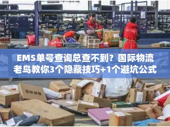 EMS单号查询总查不到？国际物流老鸟教你3个隐藏技巧+1个避坑公式