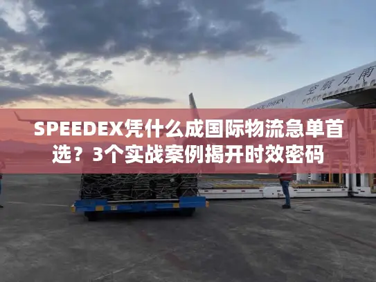 SPEEDEX凭什么成国际物流急单首选？3个实战案例揭开时效密码