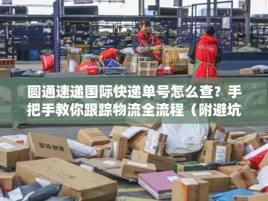 圆通速递国际快递单号怎么查？手把手教你跟踪物流全流程（附避坑技巧）