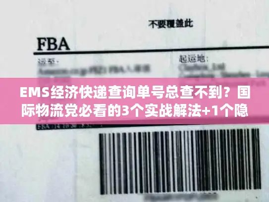 EMS经济快递查询单号总查不到？国际物流党必看的3个实战解法+1个隐藏工具