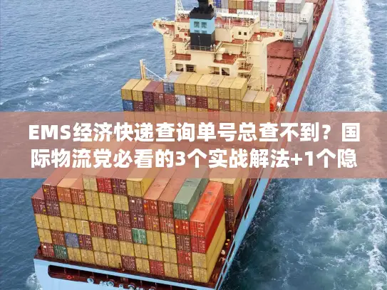 EMS经济快递查询单号总查不到？国际物流党必看的3个实战解法+1个隐藏工具