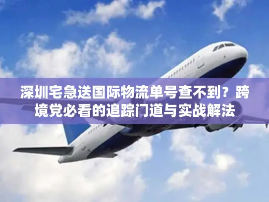 深圳宅急送国际物流单号查不到？跨境党必看的追踪门道与实战解法