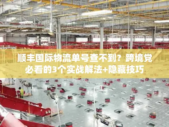 顺丰国际物流单号查不到？跨境党必看的3个实战解法+隐藏技巧