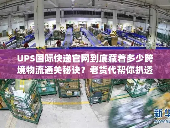 UPS国际快递官网到底藏着多少跨境物流通关秘诀？老货代帮你扒透