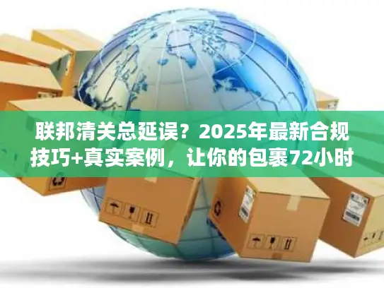联邦清关总延误？2025年最新合规技巧+真实案例，让你的包裹72小时内放行！