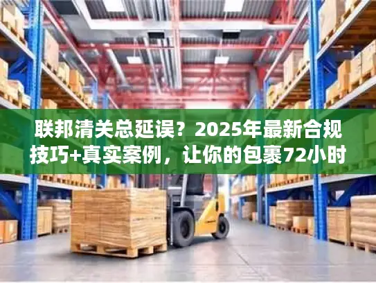 联邦清关总延误？2025年最新合规技巧+真实案例，让你的包裹72小时内放行！