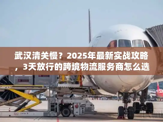 武汉清关慢？2025年最新实战攻略，3天放行的跨境物流服务商怎么选？