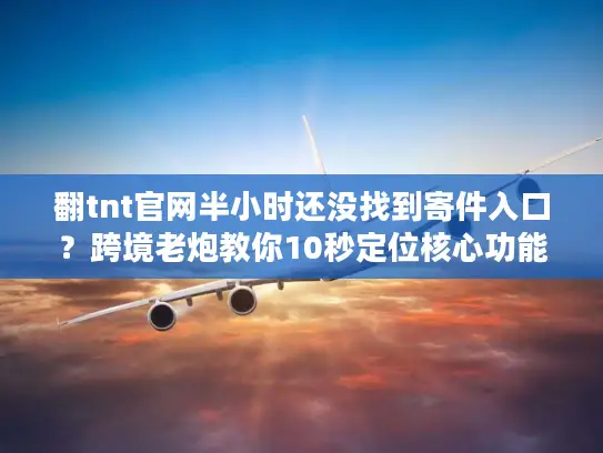 翻tnt官网半小时还没找到寄件入口？跨境老炮教你10秒定位核心功能