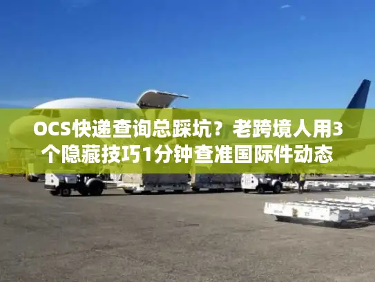 OCS快递查询总踩坑？老跨境人用3个隐藏技巧1分钟查准国际件动态