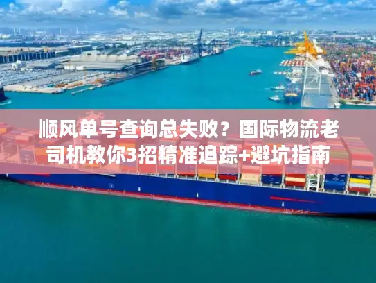 顺风单号查询总失败？国际物流老司机教你3招精准追踪+避坑指南